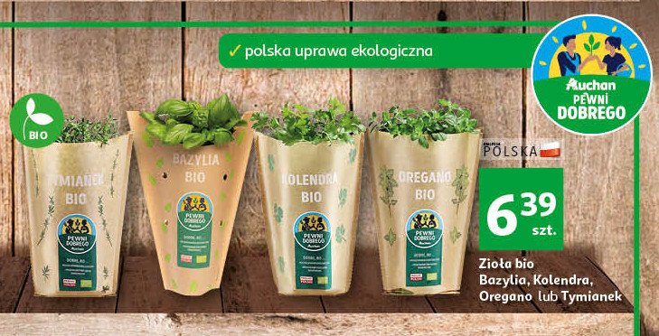 Kolendra bio Auchan pewni dobrego promocja