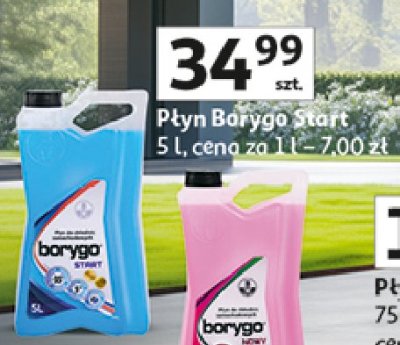 P艂yn do ch艂odnic 35-c Borygo start promocja