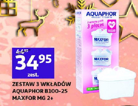 Wkład b100-25 maxfor magnezowy Aquaphor promocja