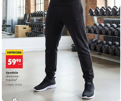 Spodnie dresowe męskie Umbro promocja w Biedronka