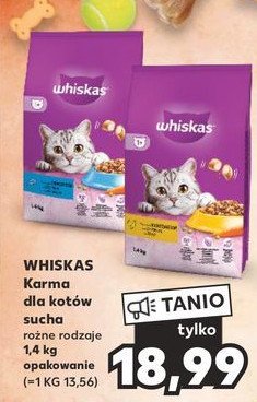 Karma dla kotów z tuńczykiem Whiskas promocja