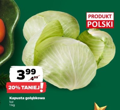 Kapusta gołąbkowa promocja w Netto