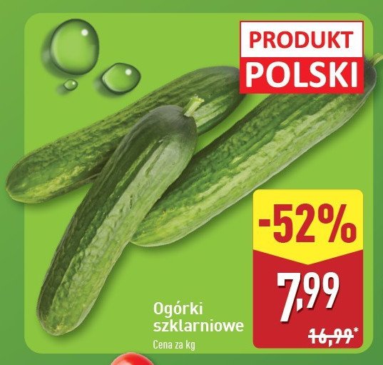 Og贸rki szklarniowe promocja