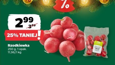 Rzodkiewka 250 g promocja w Netto
