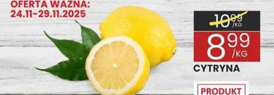 Cytryna promocja w Wafelek