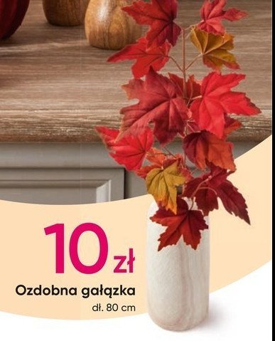 Ga艂膮zka ozdobna 80 cm promocja