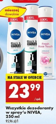 Antyperspirant Nivea rose touch promocja