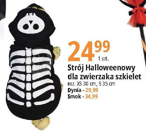 Str贸j dla zwierzaka halloween dynia xs promocja