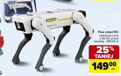 Pies robot RC promocja w Carrefour Market