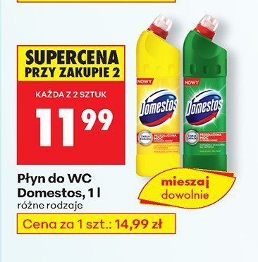 Płyn do WC różne rodzaje promocja w Biedronka