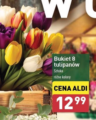 Bukiet tulipanow promocja