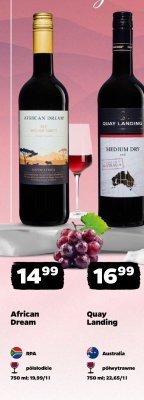 Wino promocja w Netto