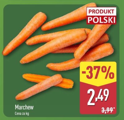 Marchew promocja w Aldi