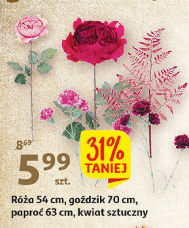 Róża 54 cm promocja