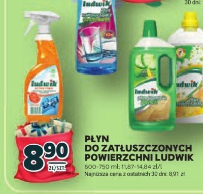 Płyn do zatłuszczonych powierzchni Ludwik promocja w Stokrotka