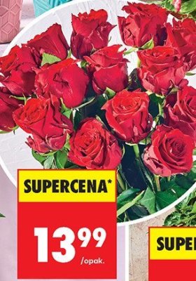 Róża bukiet 15 szt.  promocja w Biedronka