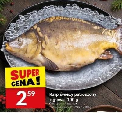 Karp świeży patroszony z głową promocja w Twój Market