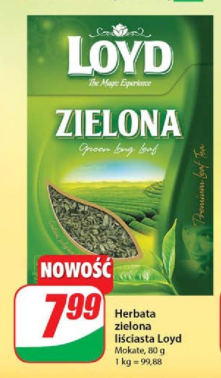 Herbata Loyd tea green promocja