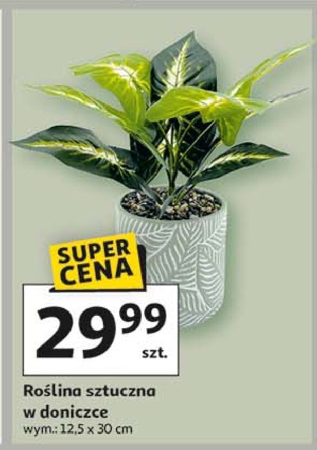 Roslina sztuczna promocja