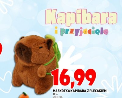 Maskotka promocja w TOPAZ