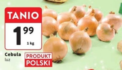 Cebula promocja w Intermarche