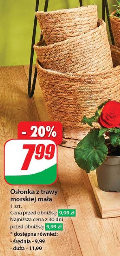 Osłonka z trawy morskiej mała promocja w Dino