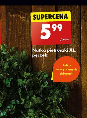 Natka pietruszki xl promocja