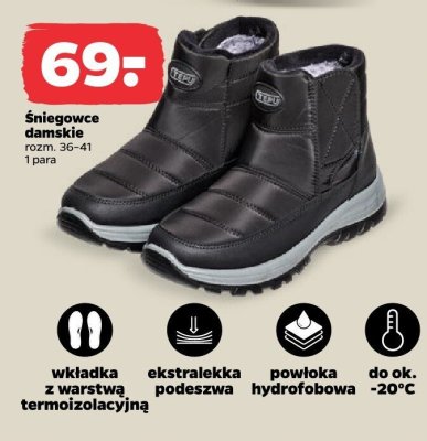 Śniegowce damskie promocja w Netto