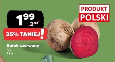 Burak czerwony luz promocja w Netto