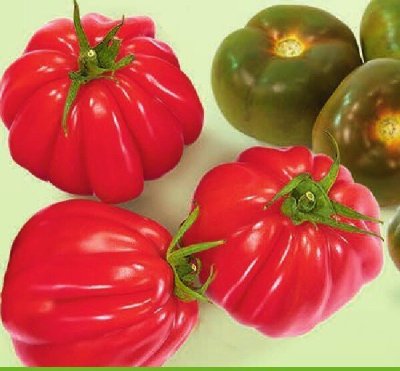 Pomidor bawole serce luz Intermarche promocja w Intermarche