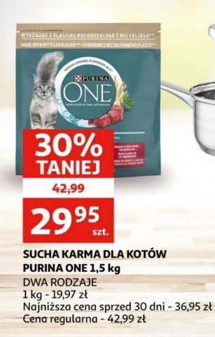 Karma dla kota wołowina Purina one promocja