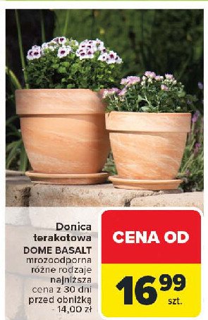 Donica terakota promocja w Carrefour Market