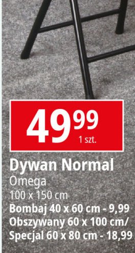 Dywan normal 100 x 150 cm Omega promocja
