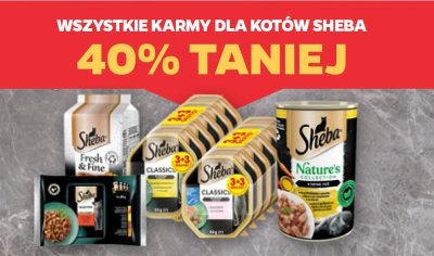 Karma dla kotów wszystkie rodzaje promocja w Netto