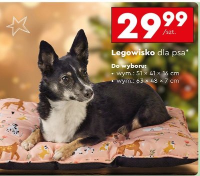 Legowisko dla psa ACTIV'PET promocja w Biedronka