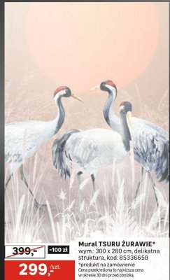 Mural TSURU ZURAWIE promocja w Leroy Merlin