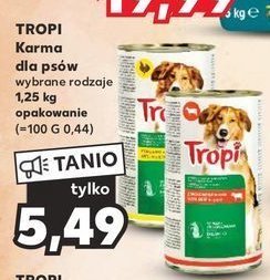 Karma dla psa z kurczakiem promocja
