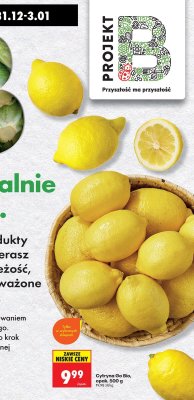 Cytryna Go Bio promocja w Biedronka