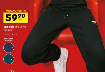 Spodnie dresowe męskie  promocja w Biedronka