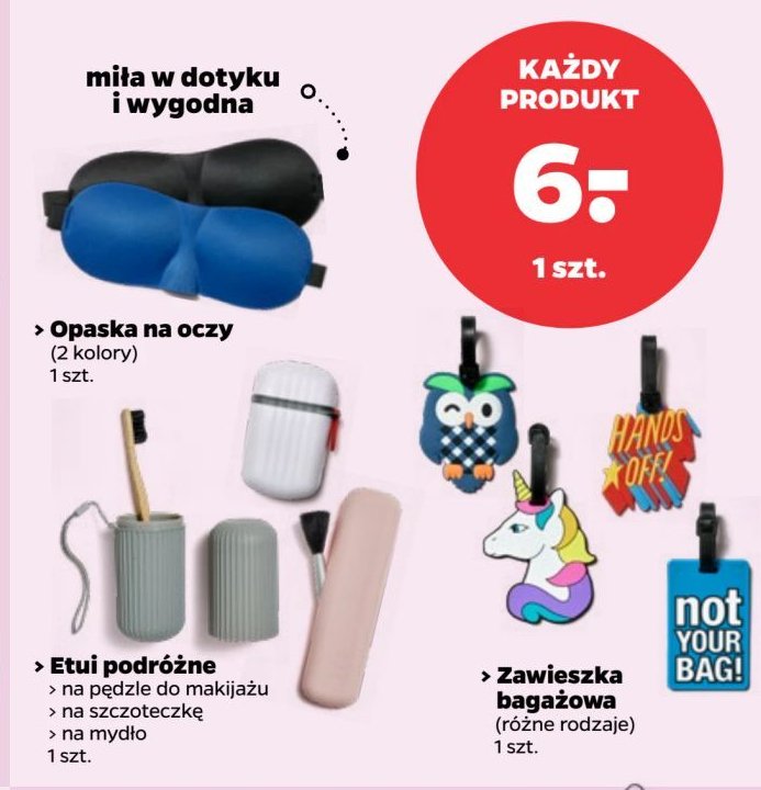 Etui na szczoteczkę promocja w Netto