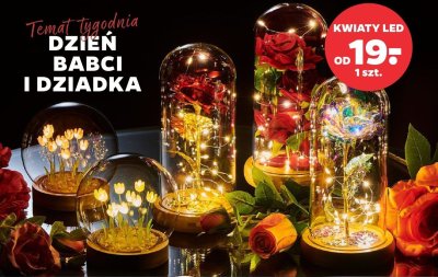 Kwiaty LED promocja w Netto