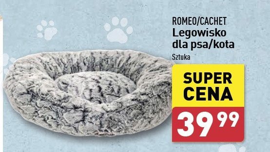 Legowisko dla kota Cachet promocja w Aldi