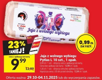 Jaja z wolnego wybiegu L 10 szt. promocja w Twój Market