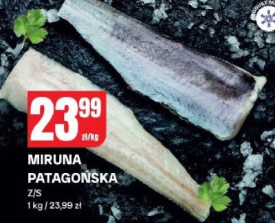 Ryba Miruna Patagońska zamrożona promocja w Chorten