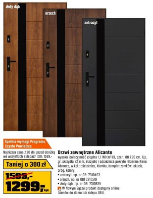Drzwi zewnętrzne Alicante promocja w OBI