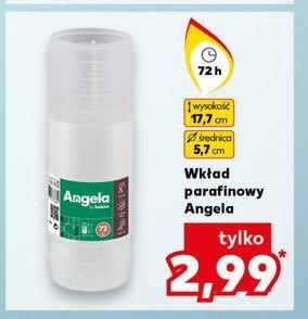 Wkład olejowy 72 h Angela promocja