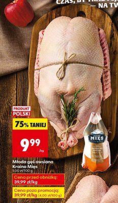 Młoda gęś owsiana  promocja w Biedronka