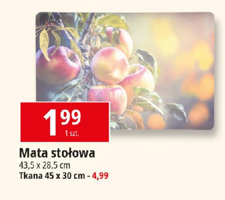 Mata stołowa 45 x 30 cm promocja