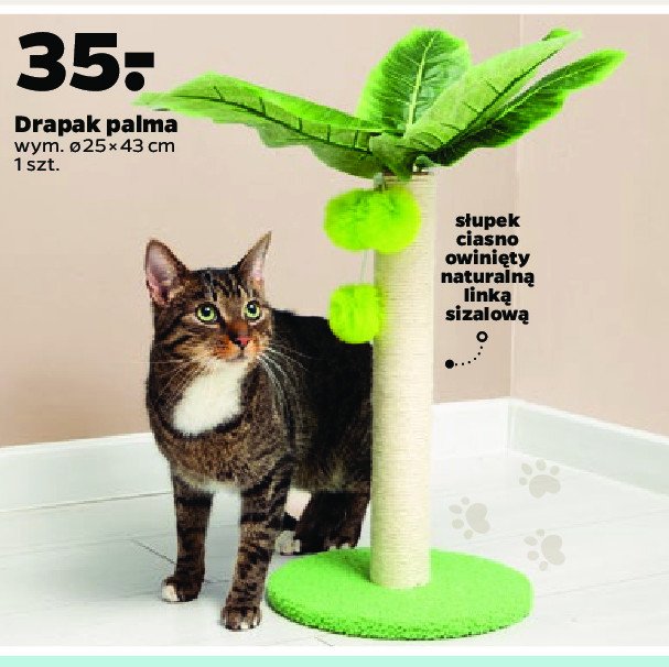 Drapak dla kota palma 25 x 43 cm Wowmiau promocja