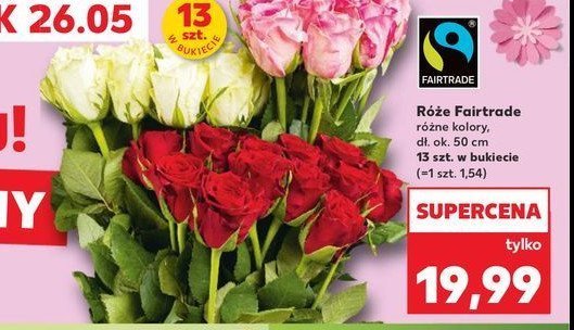 Róże fairtrade promocja w Kaufland